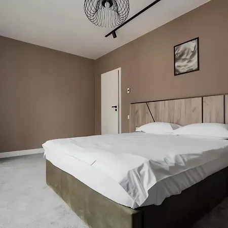 Gavas Modern * Kaloşvar