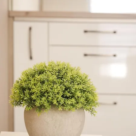 Gavas Modern 公寓 *