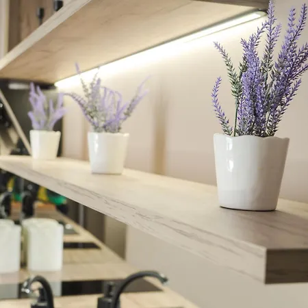 Gavas Modern Apartment Cluj-Napoca