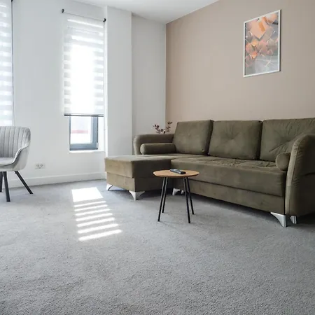Gavas Modern