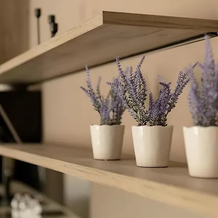 Apartment Gavas Modern Cluj-Napoca