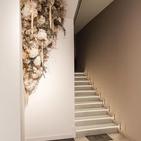 Gavas Modern