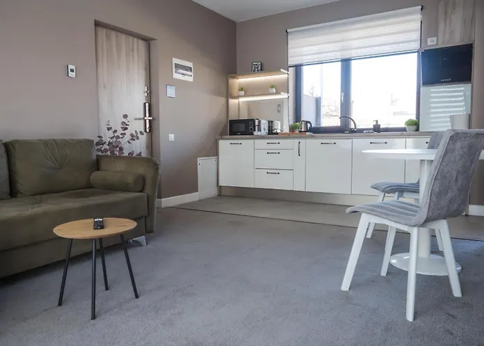 Gavas Modern Lägenhet Cluj-Napoca