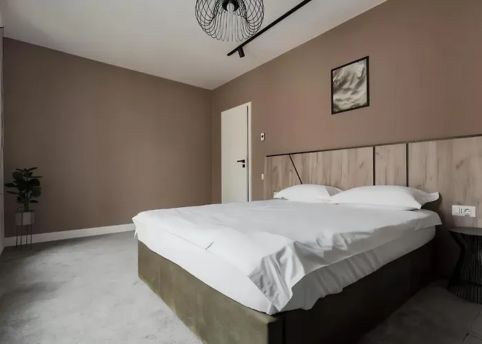 Gavas Modern * Клуж-Напока