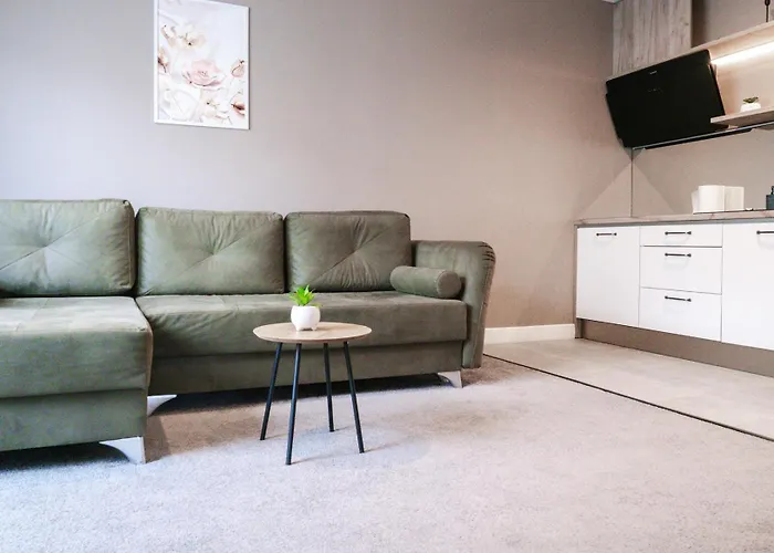 Gavas Modern Lägenhet Cluj-Napoca