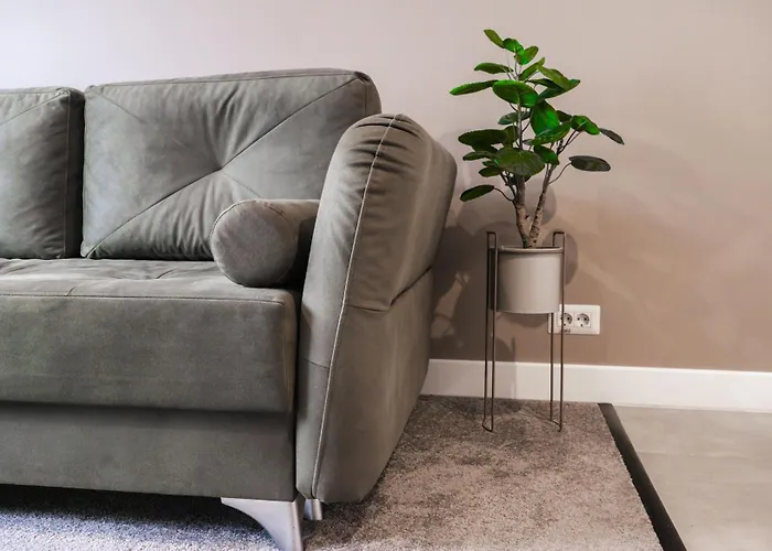 Gavas Modern Appartement Cluj-Napoca