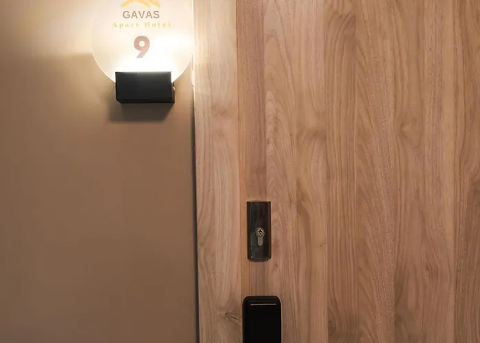Gavas Modern