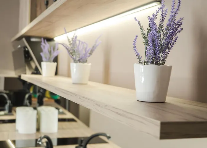 Gavas Modern Appartement Cluj-Napoca