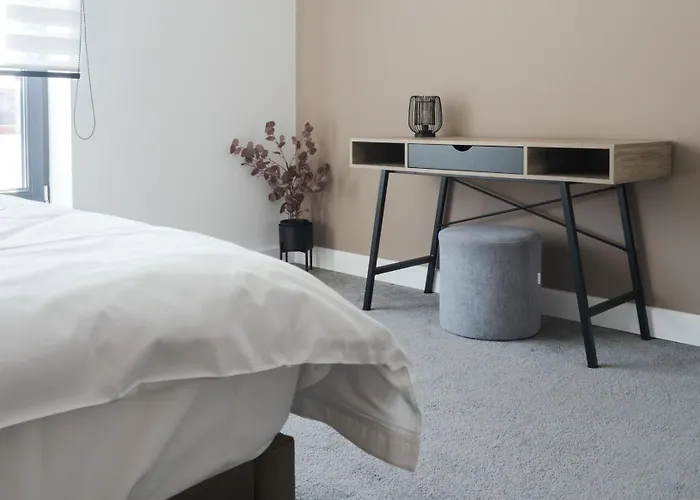 Gavas Modern Клуж-Напока