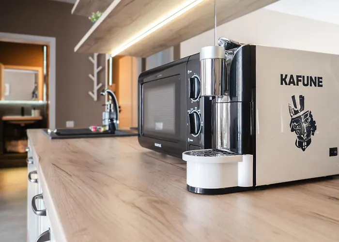 Gavas Modern * Клуж-Напока