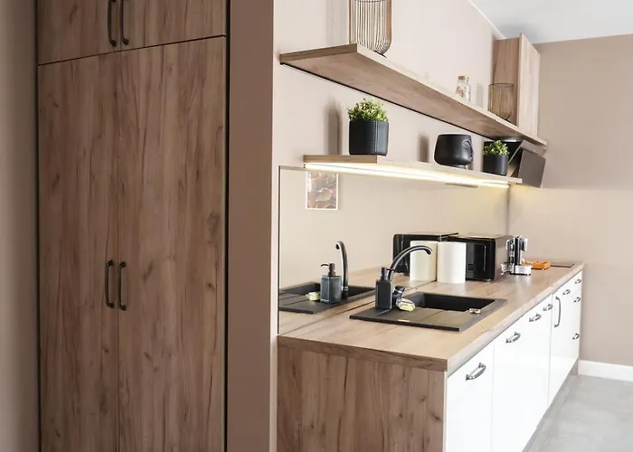 Gavas Modern * Клуж-Напока