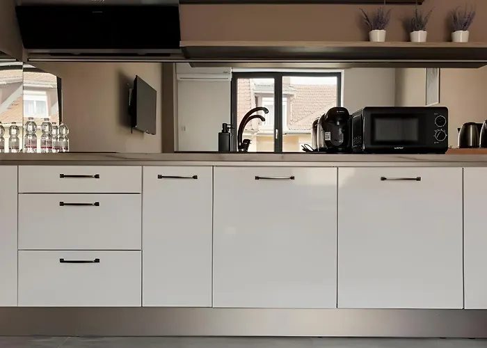 Gavas Modern Appartement Cluj-Napoca