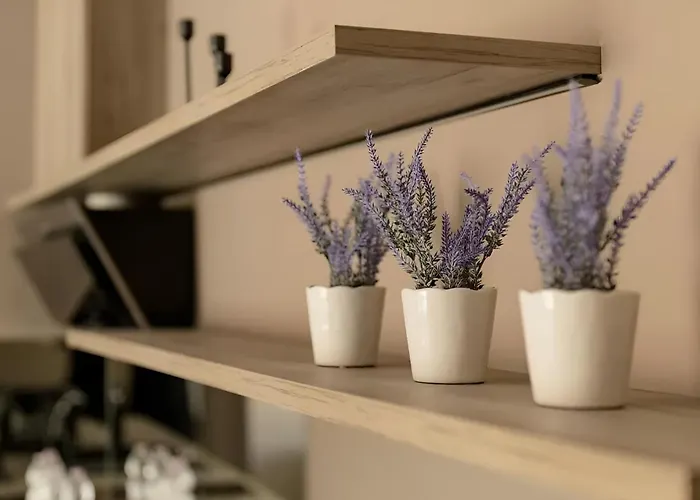 Appartement Gavas Modern Cluj-Napoca